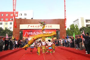 2008年12月，河池职业学院更名为“广西现代职业技术学院”