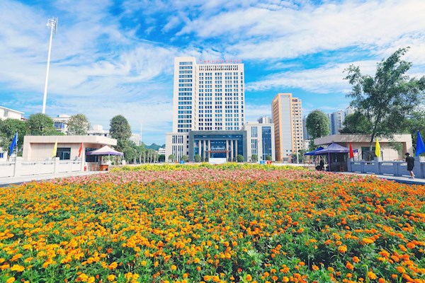 植一抹苍翠念母校，庆三十华诞聚温情——关于启动“校友树”命名活动的喜讯